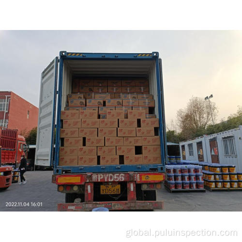 Container Loading Supervision Third party Container Loading Supervision in Shandong Factory